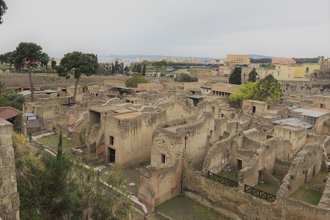Skip the Line Ancient Herculaneum Walking Tour With Top Rated Guide - Authenticity Verification