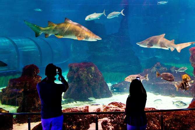 Skip the Line: Barcelona Aquarium Ticket - Booking Process