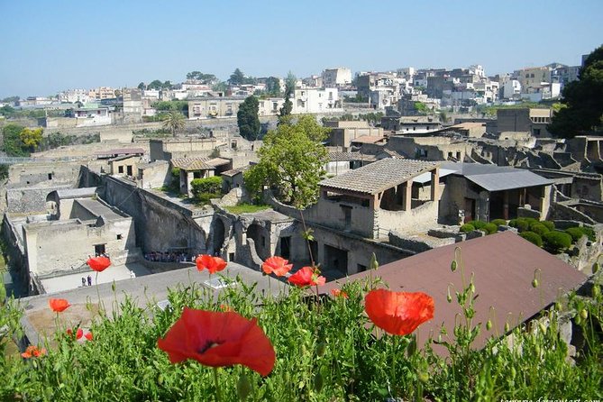 Skip the Line: Herculaneum Ruins Ticket Optional Guided Tour - Last Words