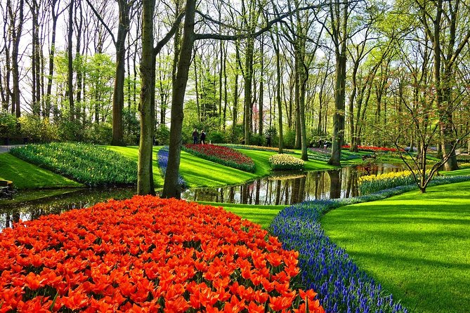 Skip-The-Line Keukenhof Gardens Sighseeing Tour From Amsterdam - Visitor Experience and Service Quality