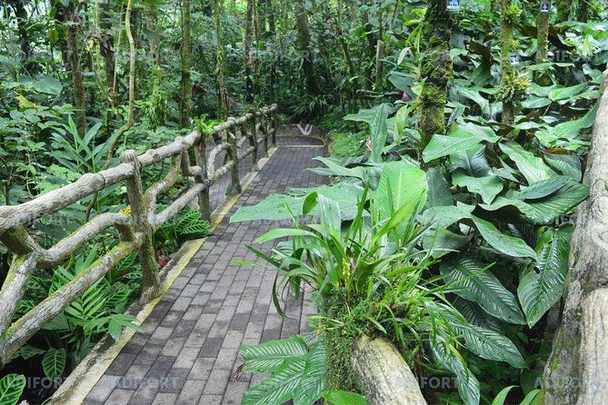 Skip-the-Line La Fortuna Waterfall Admission Ticket - Visitor Recommendations and Tips