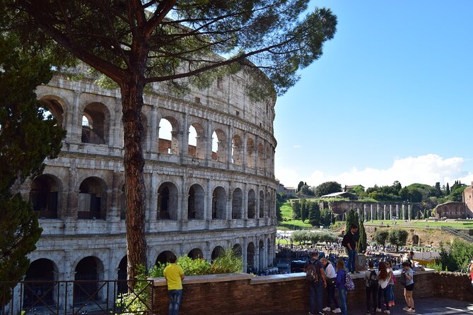 Skip the Line Ticket: Colosseum, Roman Forum & Palatine Hill - Host Engagement and Service Assurance