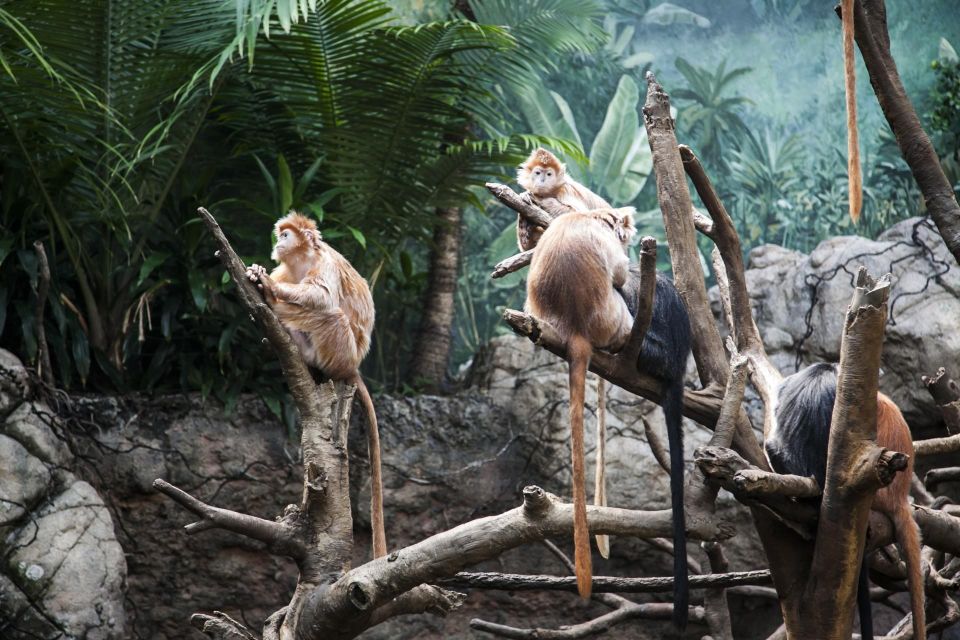 Skip-The-Line Tickets to Bronx Zoo With Private Transfers - Private Transfers Information