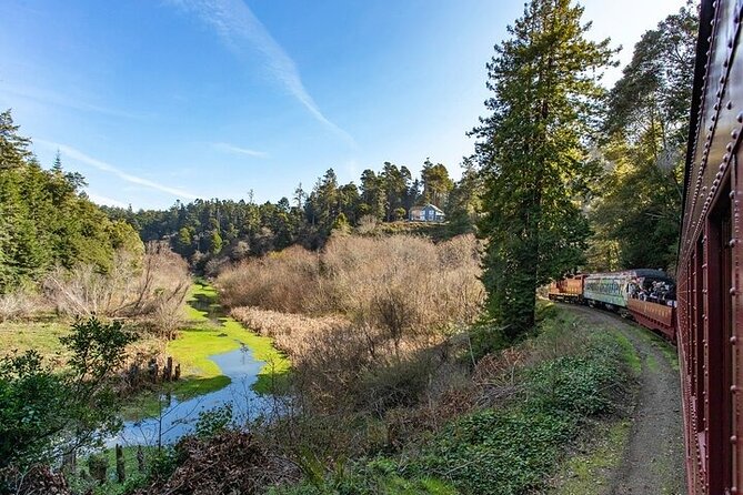 Skunk Train: Wolf Tree Turn From Willits - Scenic and Relaxing Tour