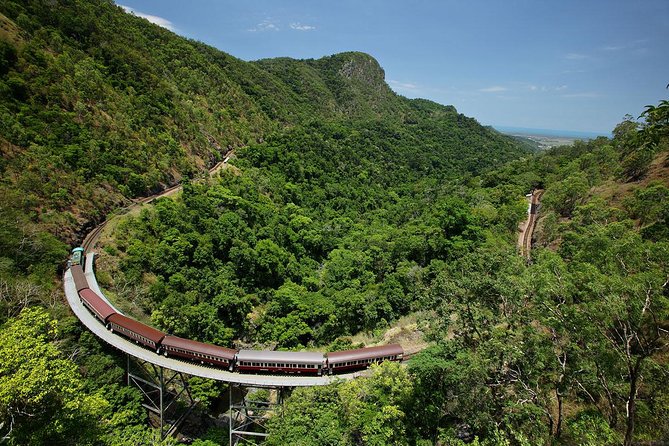 Skyrail Rainforest Cableway Day Trip From Cairns - Reviews and Ratings