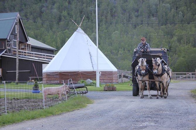 Sleigh Ride W/ Snacks - Experience Arctic Farm Life - Snacks in Sami Tent Delight