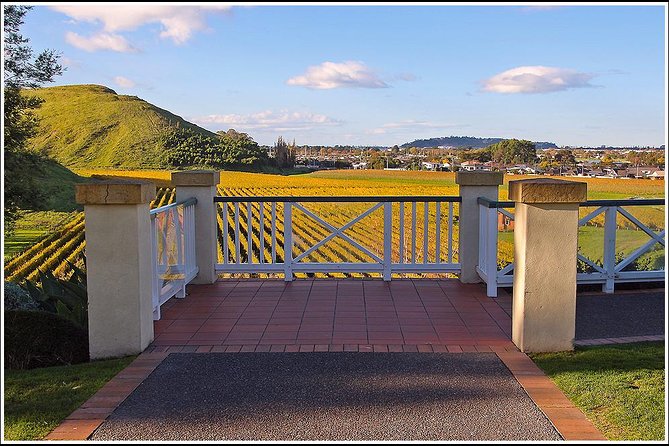 Small Group 2.5-Hour Napier History and Art Deco Tour - Reviews, Pricing, and Copyright