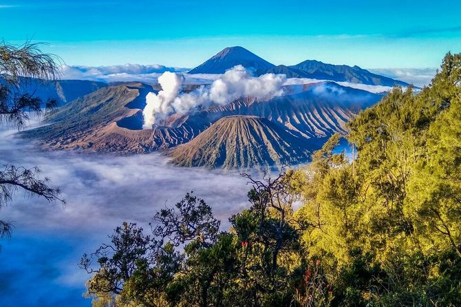 Small-Group 2-Day Tour: Bromo Sunrise & Ijen Blue Flames Hike (Mar ) - Booking and Cancellation Policies