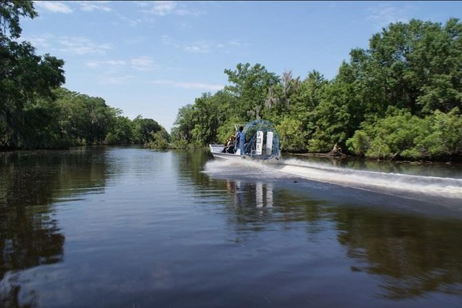 Small-Group Airboat Swamp Tour With Downtown New Orleans Pickup - Tour Highlights