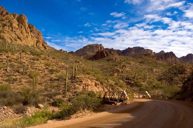 Small Group Apache Trail Day Tour With Dolly Steamboat From Phoenix - Nature Cruise Experience