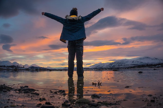 Small-Group Arctic Sightseeing Tour With Citizen Science From Tromso - Scenic Highlights