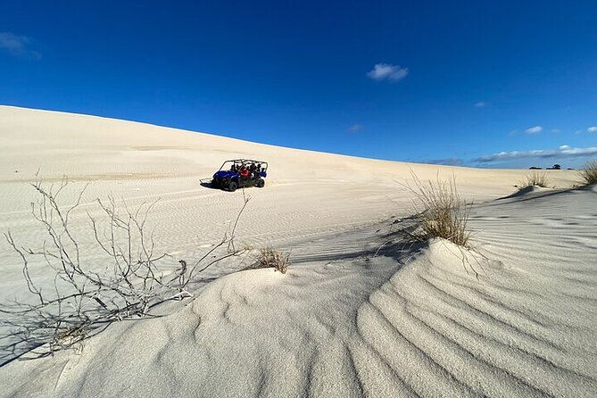 Small-Group Buggy Tour at Little Sahara With Guide - Cancellation Policy