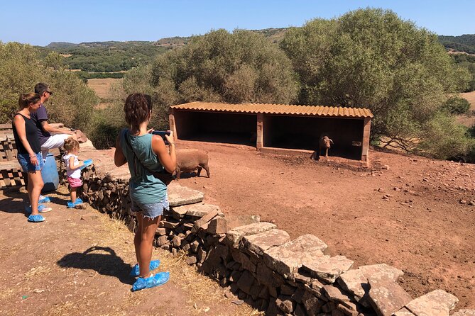 Small Group Cheese Making and Tasting From the Island of Baleares - Common questions