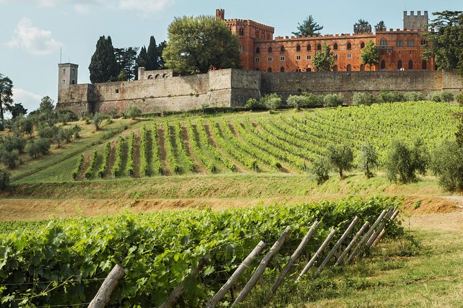 Small-Group Chianti Trip With Wine Tasting From Siena - Logistics and Additional Information