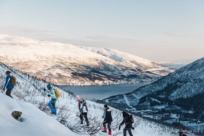 Small Group Citizen Science Hike in Tromso - Common questions