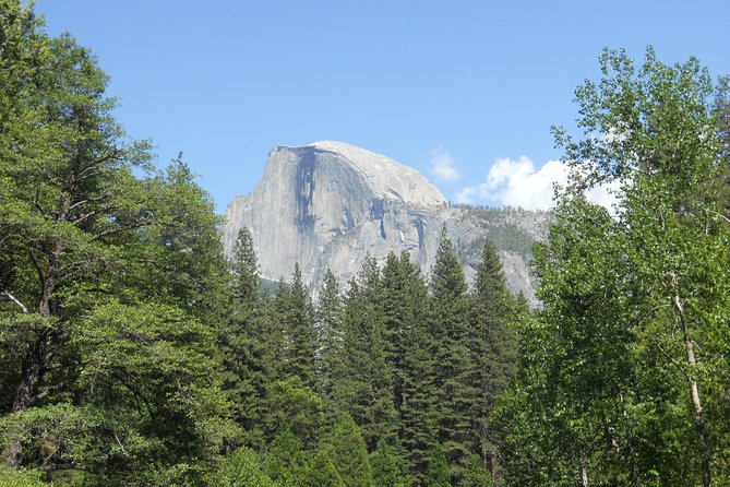 Small-Group Day Trip to Yosemite From Lake Tahoe - Group Dynamics and Pricing