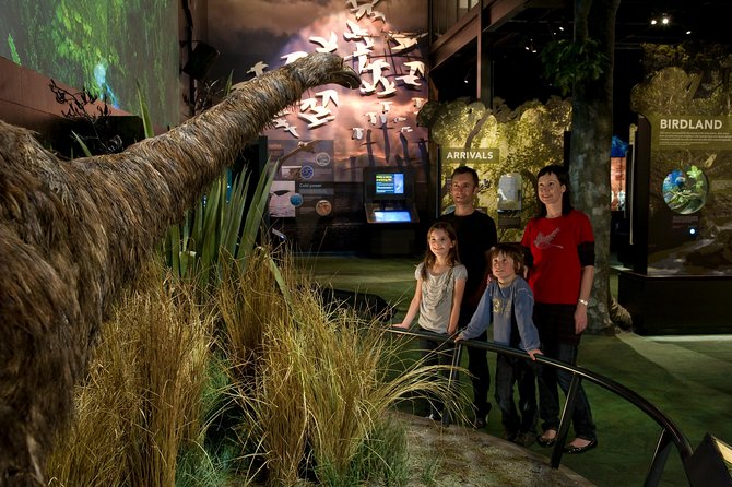 Small Group Daytime 2-Hour Eco Wildlife Tour at Zealandia - Wildlife Diversity