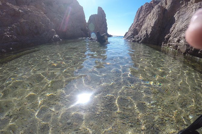 Small Group Diving Baptism in Girona - Viator Assistance and Information