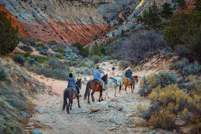 Small-Group East Zion White Mountain Horseback Ride - Cancellation and Weather Policy