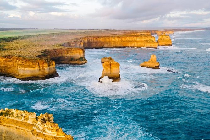 Small-Group Great Ocean Road Day Trip From Melbourne - Important Logistics and Policies