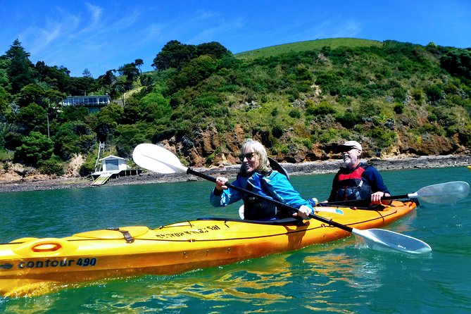 Small Group Guided Sea Kayaking in Akaroa Marine Reserve - Reviews and Booking Details