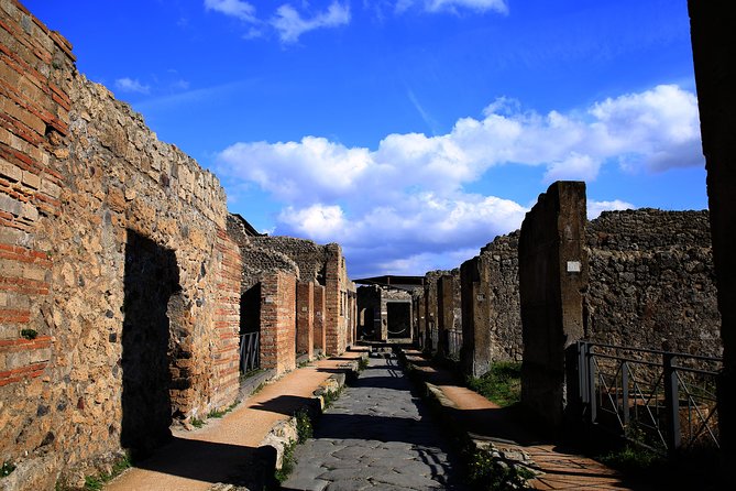 Small Group Guided Tour of Pompeii Top Highlights Led by an Archaelogist - Educational Value and Insights