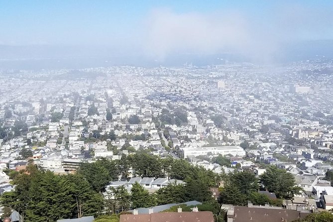 Small-Group Half-Day Afternoon City Tour of San Francisco - Reviews and Feedback