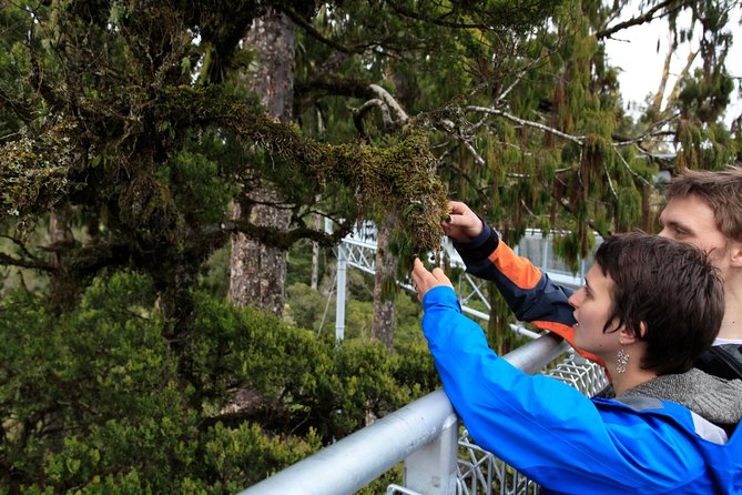 Small-Group Half-Day Tour to Treetop Walk and Hokitika Gorge  - Greymouth - Additional Information