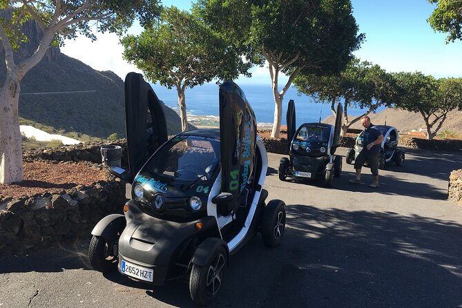 Small-Group Half-Day Twizy Tour in Tenerife (Mar ) - Customer Reviews