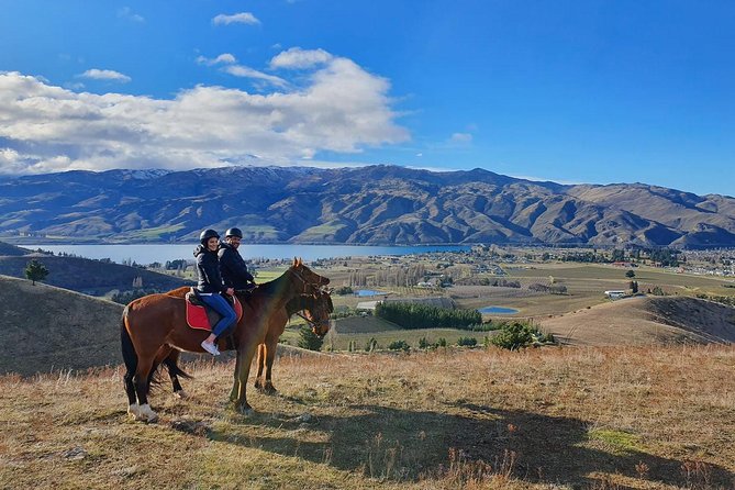 Small-Group Horse Trekking, Central Otago (Mar ) - Common questions