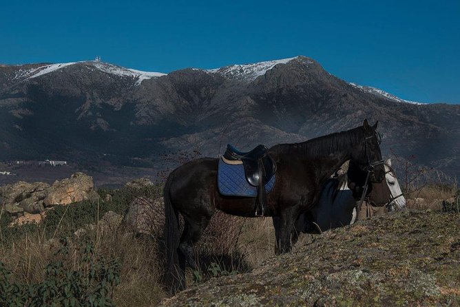 Small-Group Horseback Riding Tour of Sierra De Guadarrama (Mar ) - Last Words