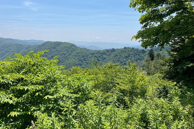 Small-Group Jeep Tour of Smoky Mountains Foothills Parkway - Small-Group Tour Benefits