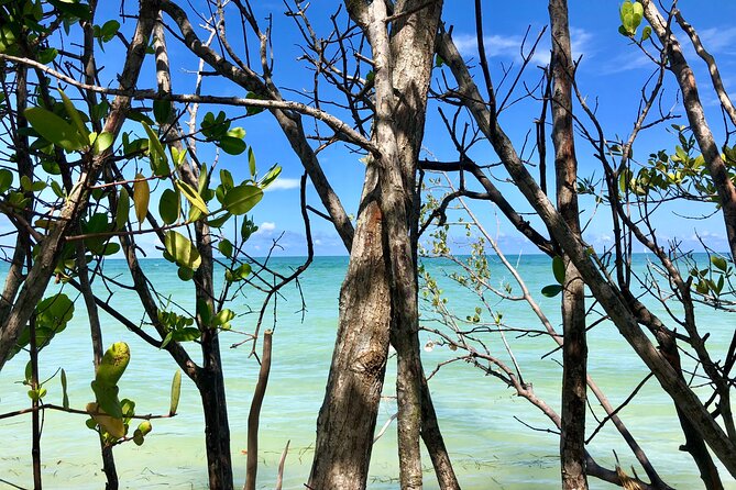 Small Group Kayak Tour of the Shell Key Preserve - Booking Process