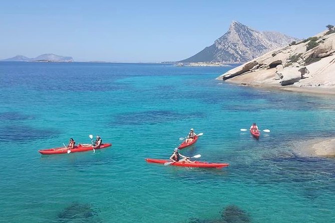 Small Group Kayak Tour With Snorkeling and Fruit - Traveler Information
