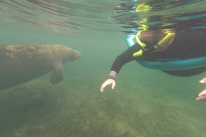 Small Group Manatee Snorkel Tour With In-Water Guide and Photographer - Additional Information