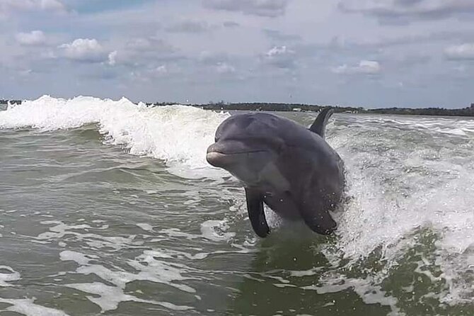 Small Group Motorboat Eco Tour of the Everglades - Booking Information