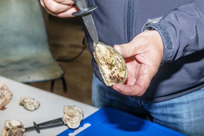 Small Group Oyster Tour and Tasting at Ballinakill Bay With David - Cancellation Policy Details