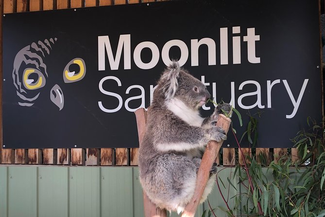 Small-Group Phillip Island Afternoon Day Trip From Melbourne - Logistics and Ticketing Information