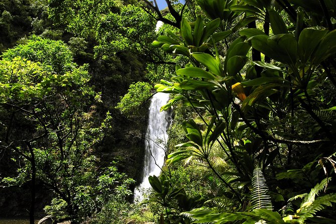 Small-Group Road to Hana Luxury Tour - Customer Reviews