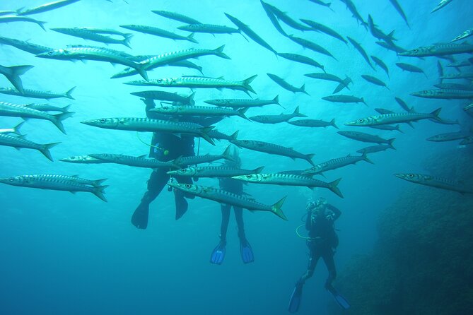 Small-Group Scuba Diving Eco Tour in the North of Menorca (Mar ) - Cancellation Policy