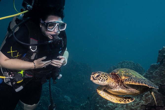 Small Group Shark and Turtle Dive for Certified Divers - Traveler Photos