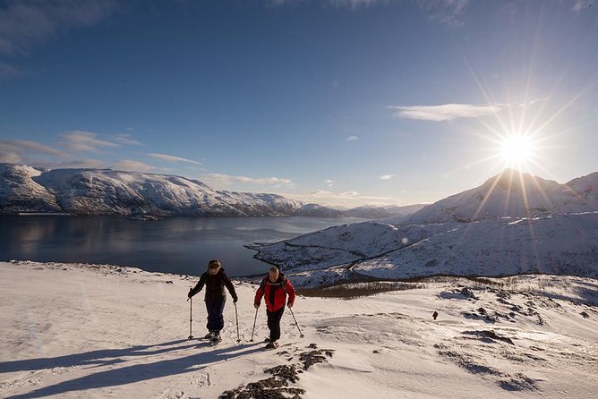 Small-Group Snowshoeing Tour From Tromso - Guides Role and Services