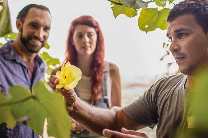 Small-Group Tour of the Daintree With an Aboriginal Guide (Mar ) - Flora and Fauna Encounters