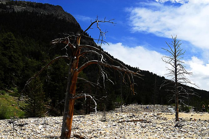 Small-Group Tour of the Rocky Mountain National Park From Denver - Important Information