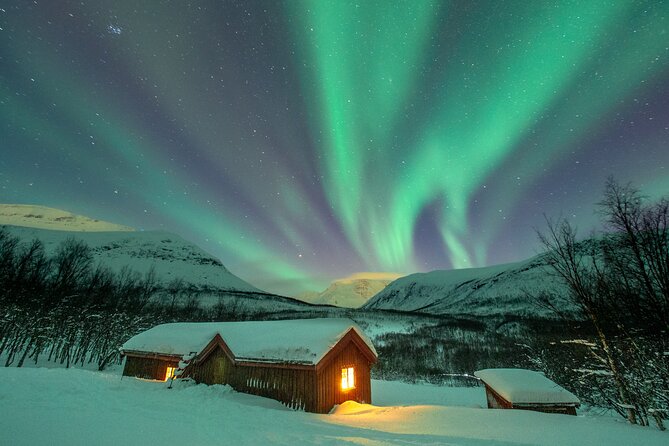 Small-Group Wilderness Husky Sledding 2h Away From Tromsø - See What Past Travelers Have Said