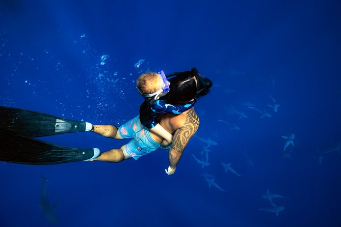 Snorkel and Dive With Sharks in Hawaii With One Ocean Diving - Customer Service and Pricing