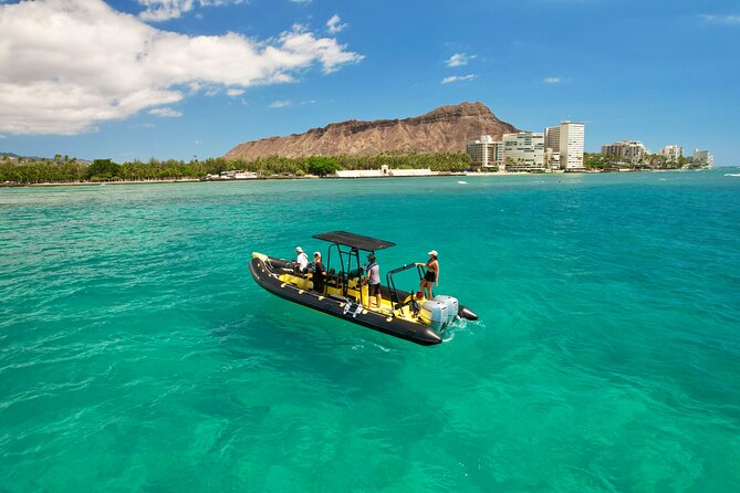 Snorkel & Swim With Turtles! Minutes From Waikiki - Booking and Pricing