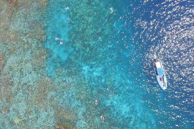 Snorkel Tour to Captain Cook Monument Kailua-Kona, Big Island - Cancellation Policy