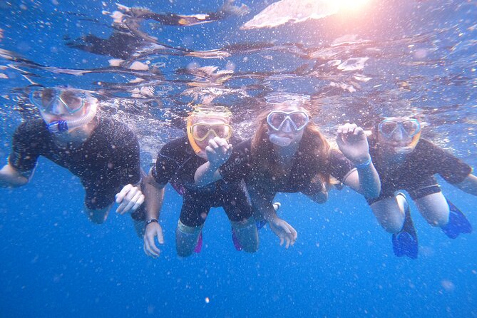 Snorkeling and Boat Tour in a Turtle Area - Safety Measures and Wildlife Encounters