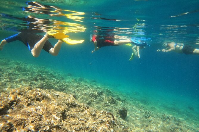 Snorkeling Boat Excursions in Nea Makri Athens - Location Details